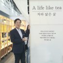서울국제도서전 Daum카페
