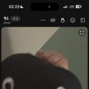 빵빠레투 이미지