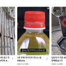 나의 첫 글+ 이야기의 시작 이미지