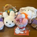 오늘 인형뽑기 완료 이미지