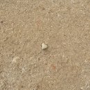 이마트24 정발산하나점 | 굿바이 2025! 이수역 경성모밀, 사주아이990원, 채빛퀴진 송년회, 크리스마스 요리, 포천 꼬마연못...