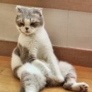 55번길 국수 이미지