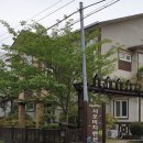 서포비치 이미지