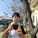 강화도 아이와 가볼만한곳 강화재순네식품 전통식품체험 순무김치와 고추장 만들기