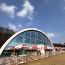 (사)세종시장애인부모회 | 세종 크리스마스 카페 추천 세컨드세컨드 내돈내산 후기