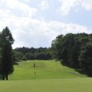 ACE GOLF 이미지