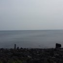 표선 교차로 4 이미지