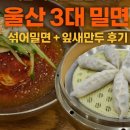 도산로-1 | 울산 3대 밀면 맛집｜섞어밀면 잎새만두 후기｜추워도 밀면이 좋아