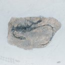 소바우공원 이미지