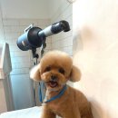 홍글몽글 이미지