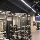 프로짐피트니스 | 압구정 헬스장 백프로짐 꾸준히 다니기 좋은 분위기의 피트니스 후기