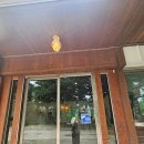 속초사잇길 제3길 | 속초 라떼 맛집 솔담 카페 후기, 속초 뷰 좋은 카페에서 즐기는 감성 데이트코스