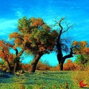 무릉도원 이미지