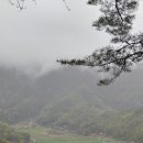 길음농장 이미지