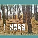 20160227 봄을 찾아 떠나는 산림욕길 이미지