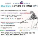 고양시 삼송지역 유소년야구단 블루샤크 선수모집 이미지