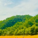 영가대교 북단 아래 이미지