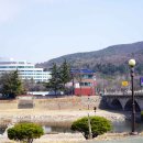 삼화만두 이미지