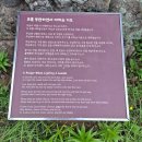 미리내천주성삼성직수도회 | 미리내성지