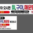 화천코다리
