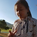 위천초등학교 이미지