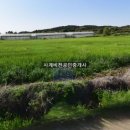 평화로 L 이미지