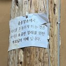 속초시민 한의원 | 11개월 아기와 강원도 여행 (속초, 양양) - 낙산비치호텔 온돌방 후기