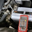 애니카랜드연동점 이미지