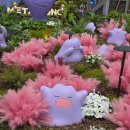 연동농장 | 제주 2일차 오전｜연동에서 중문까지, 귤농장과 여미지식물원 그리고 색달식당 점심