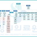 (개인별 보고서)병원조직 사례연구 이미지