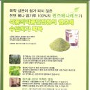 퀸즈헤나교실 이미지