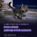 우주동물병원 이미지