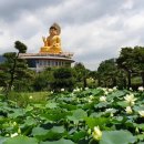 대우공원아파트경로당 이미지