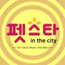 펫시티 이미지