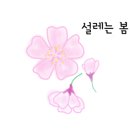 설탕상점