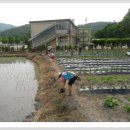 위례초병설유치원 이미지