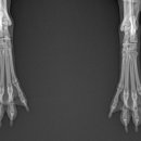 덕소동물병원 이미지