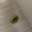 꿀복이꽈배기 광주금남점 이미지