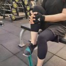 익스홀릭 가넷 이미지