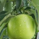 행복애농원 이미지