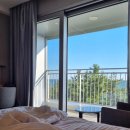 강아지 펫 헤븐 | [강릉호텔] 강원도 애견동반 호텔 추천 세인트존스호텔 펫더블룸 반려견놀이터 앙빵