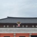 240525-240526 합천 해인사 템플스테이 후기🪷📿
