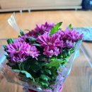 소국샀어요~! 이미지