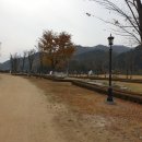 플로라모텔 이미지