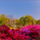 용산가족공원 이미지