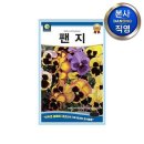 다농 이미지
