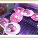 즐거운 자동차 마을 이미지