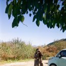 은미목장 이미지