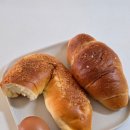 미래주유소 화장실 | 런린이 일상 일기 올해는 유난히 자주 아프네