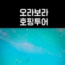 오라보라 이미지